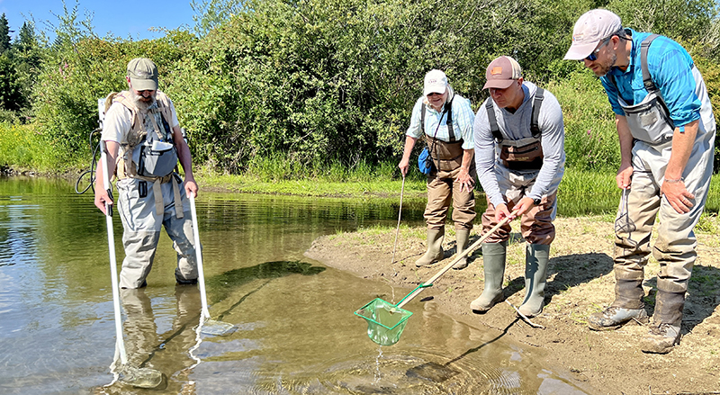 a group of biologists survey the East Fork for fish with Representative Abbarno