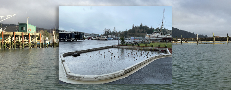 a stormwater swale in a parking lot filled with rain. Boats can be seen in the background