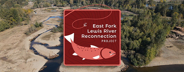 aerial image of the reconnected floodplain with large wood and new channels