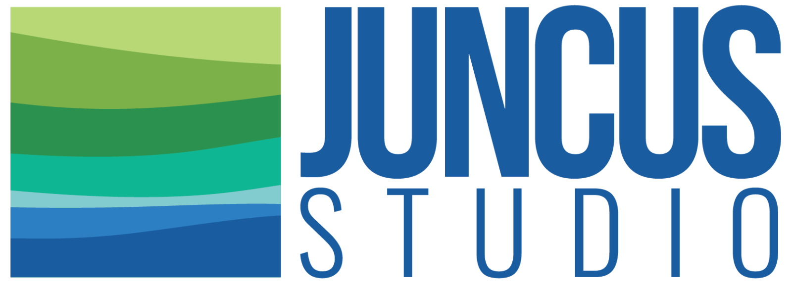 Juncus Studio