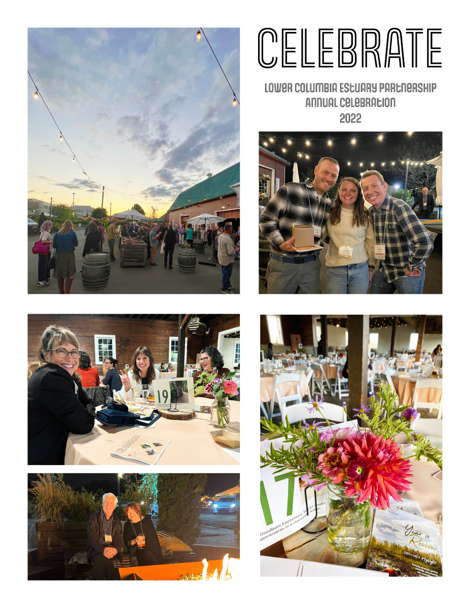 Photo%20collage%20annual%20event%20for%20neon%20v2.png