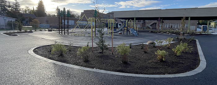 New stormwater swale with a playground in the distance