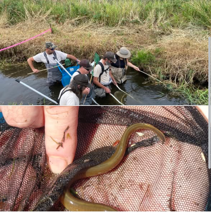 East Fork aquatic rescue call for volunteers