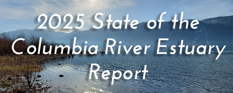 State%20of%20the%20Estuary%20header.jpg