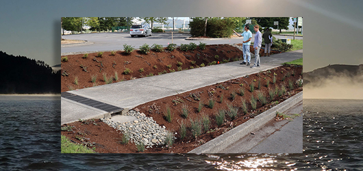 Stormwater%20Project%20Manager.jpg