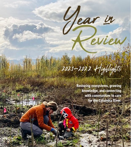 Year in Review