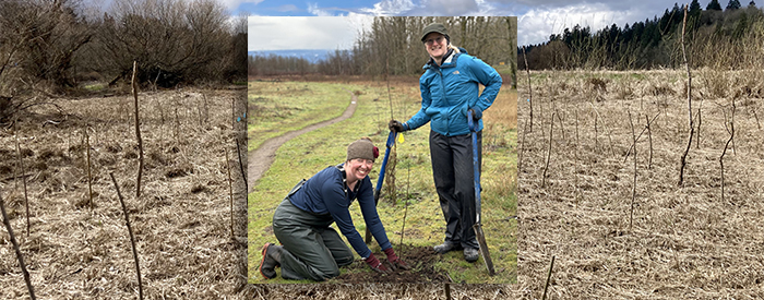 two people plant a small tree