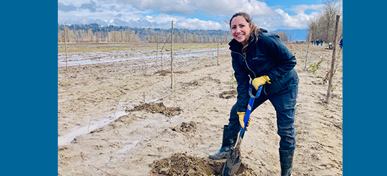 Person planting trees