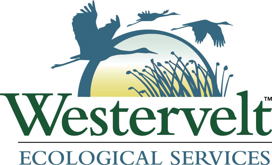 wes%20logotransparentcmyk.png